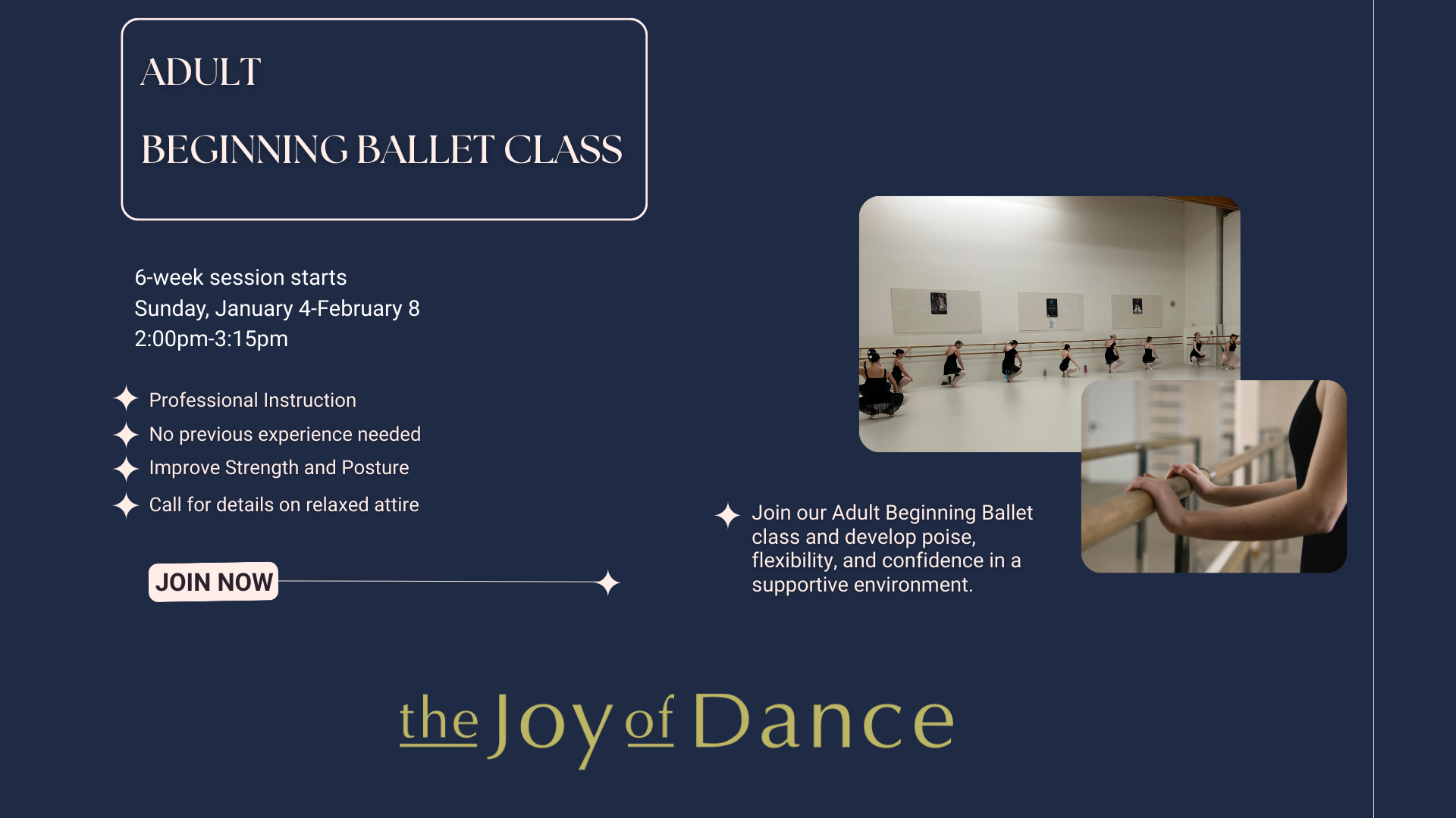 Adult Ballet Sessional