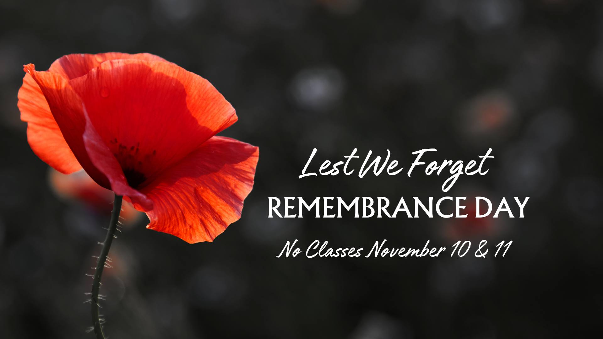 Remembrance Day